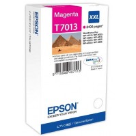 Epson T7013