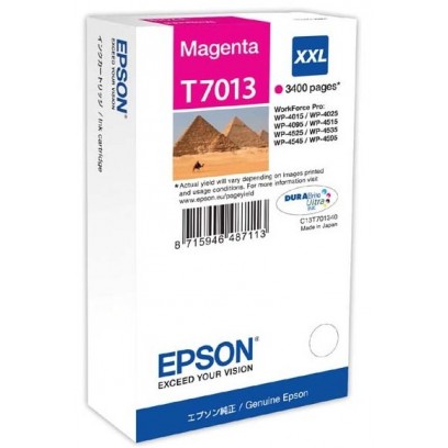 Epson T7013